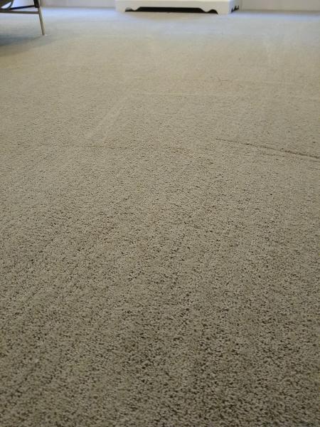 Action Carpet Care Services