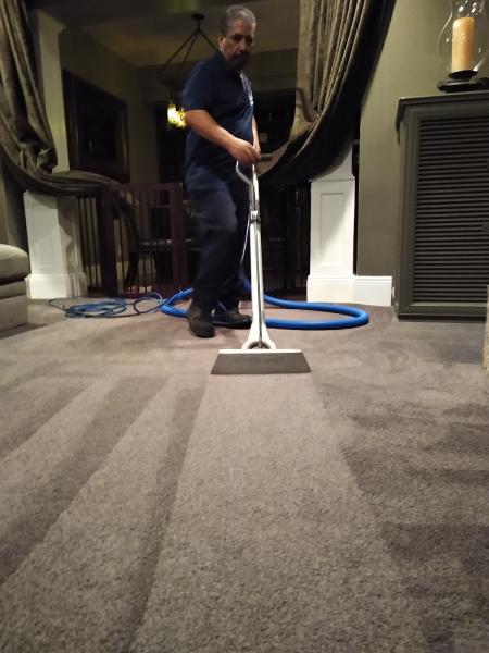 Action Carpet Care Services