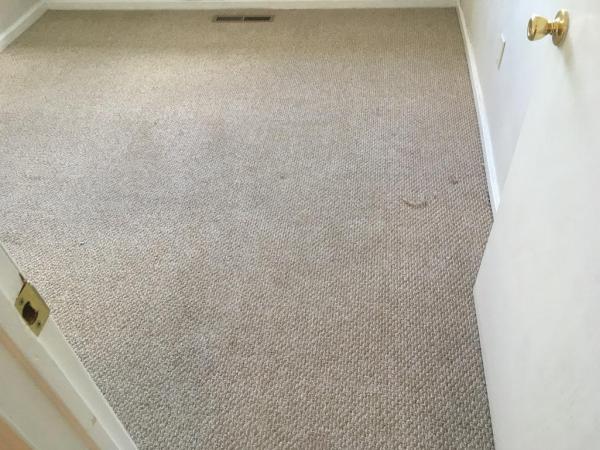 Supreme Carpet Care