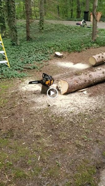 Seniors Discount Landscaping LLC