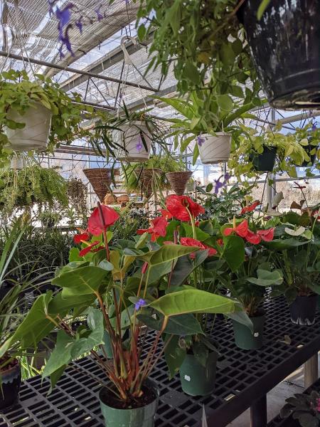 Busy Beaver Lawn and Garden Inc.