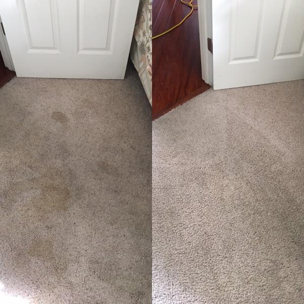 Pureclean Carpet & Air Duct Cleaning