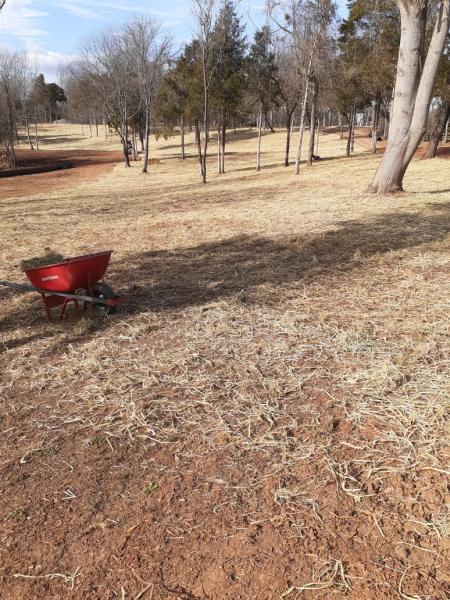 Vazquez Landscaping and Painting LLC