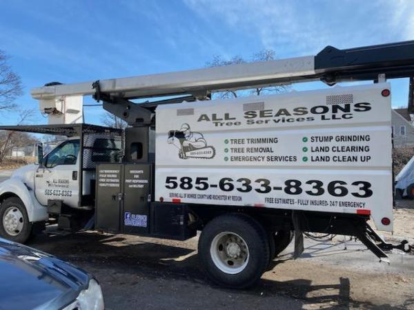 All Seasons Tree Services NY