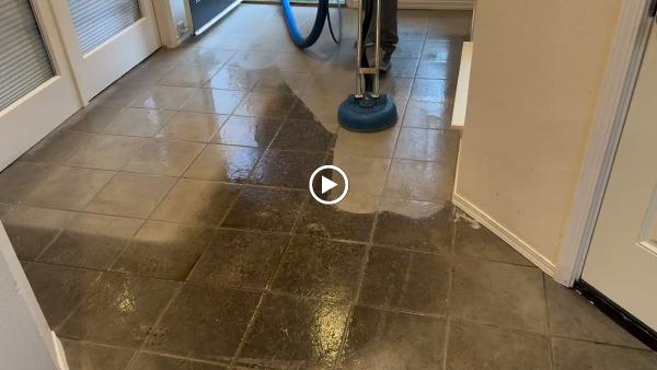 Alfa Carpet Cleaning