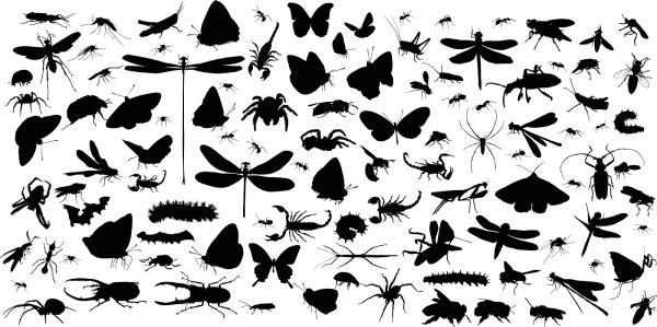 Landmark Pest Management