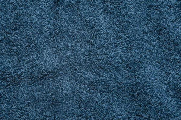 Mountain Standard Carpet & Upholstery Cleaning