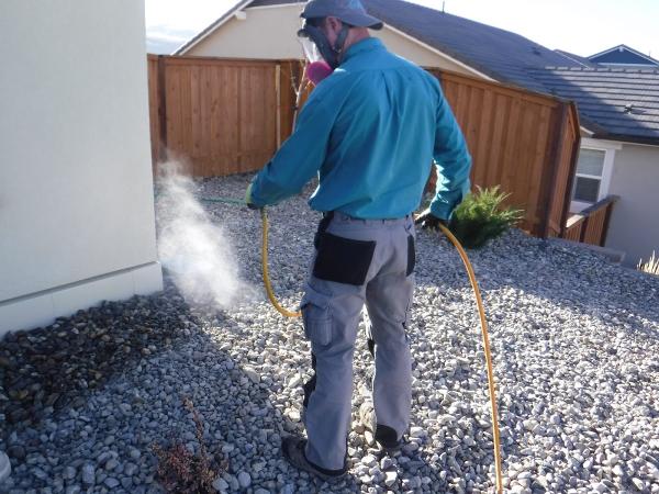 Celtic Pest Control