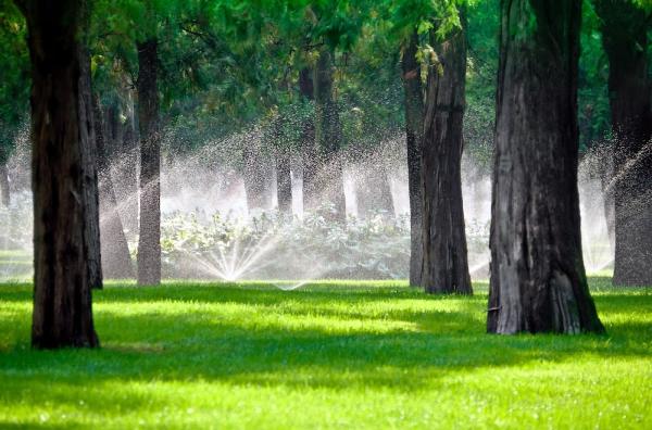 Raintech Sprinkler Repair