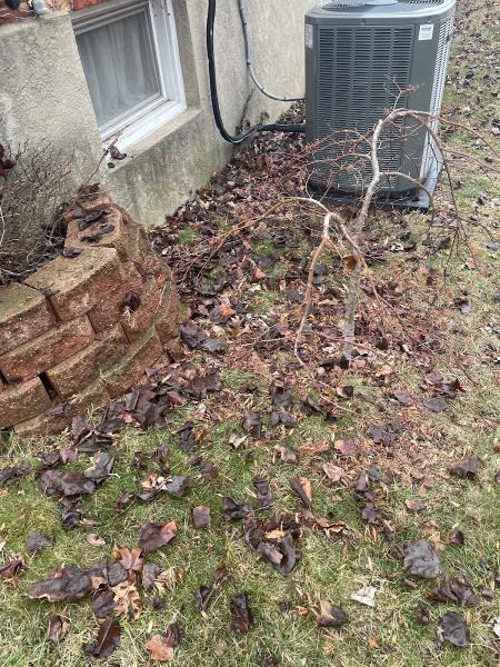Aerotech Gutter Service