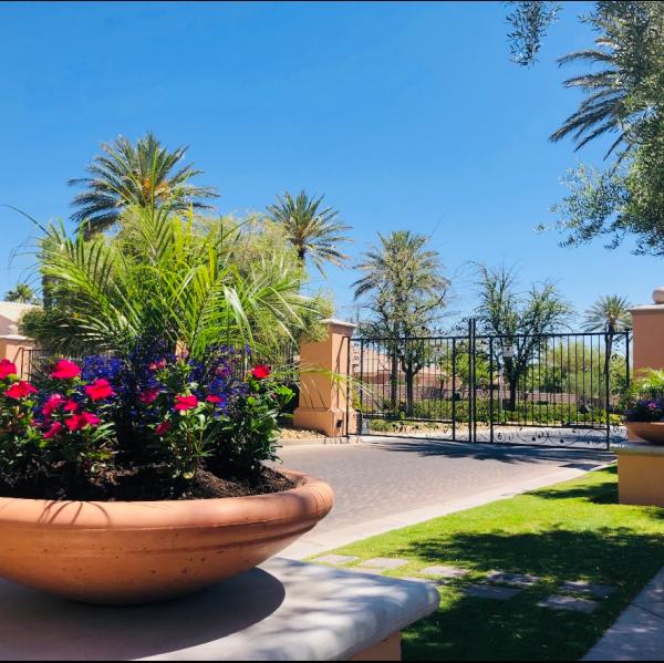 Enpark Landscape Las Vegas