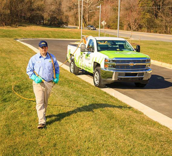 The Green Team