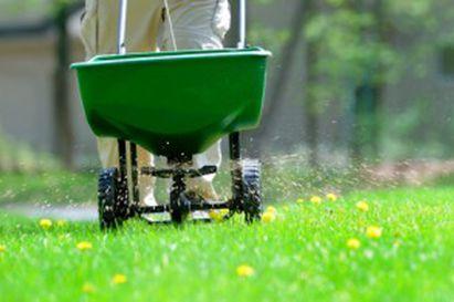 Prolawn Services