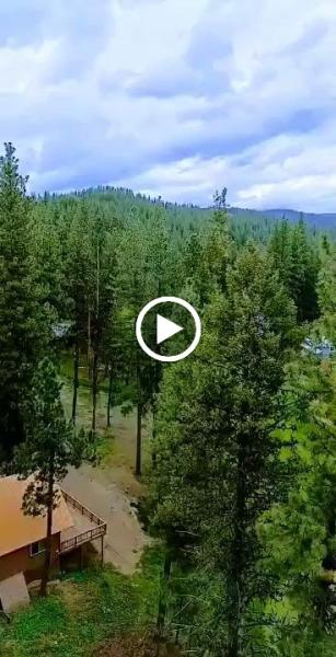 Hang 'Em High Tree Service
