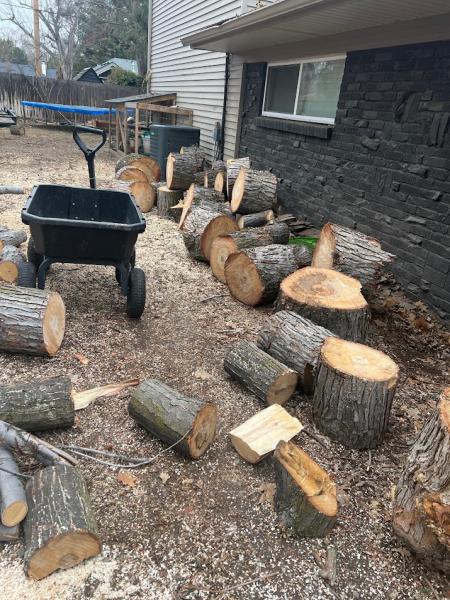 Hang 'Em High Tree Service