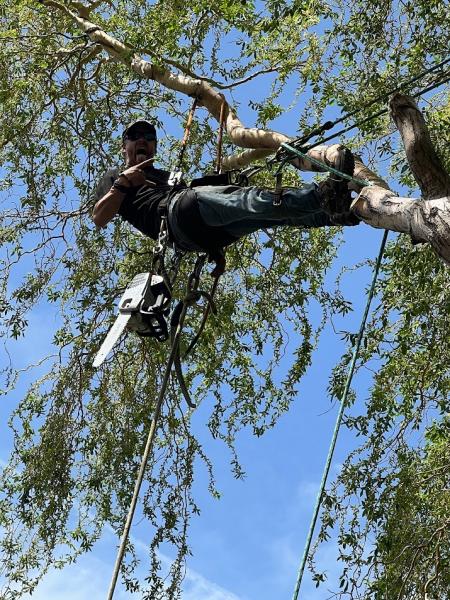 Hang 'Em High Tree Service