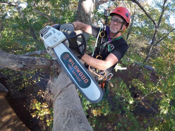 Wildwood Tree Service