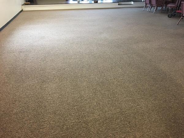 Wicked Clean Carpets & Floors