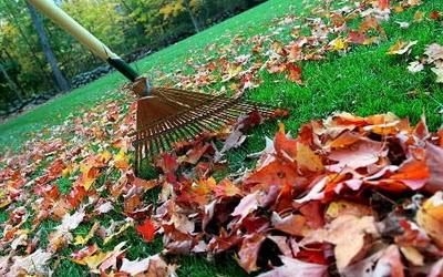 Lawn & Pest Control Xperts