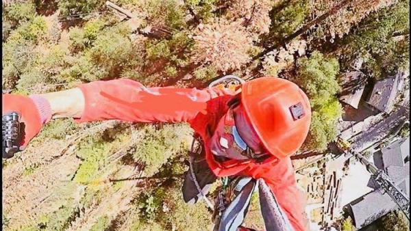 Trustable Tree Care & Brush Clearance