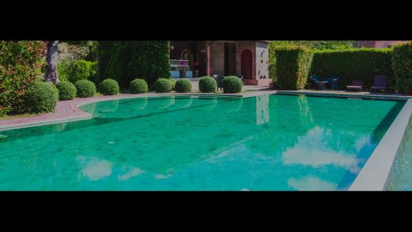 Transparent Pool Service