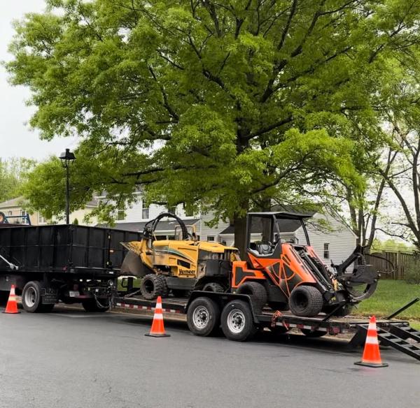 R&R Tree Service