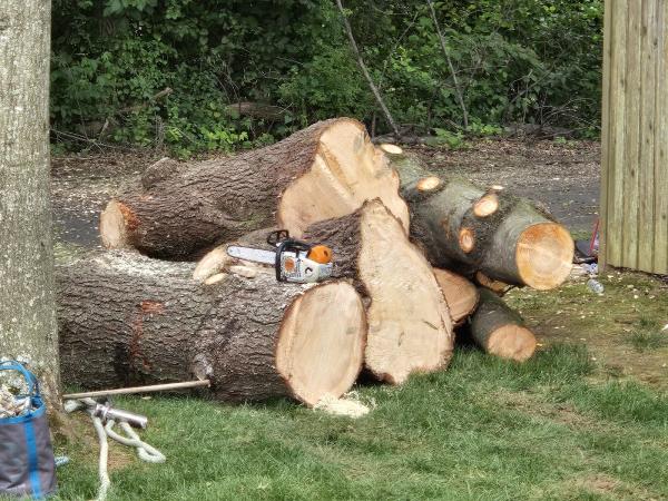 R&R Tree Service