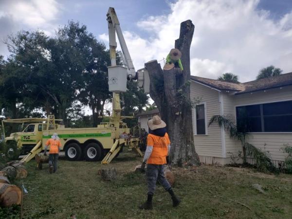 Harmon's Tree & Lawn Care