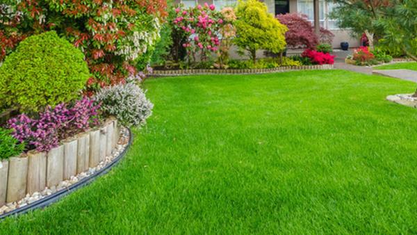 Wilson Landscape and Lawn Service