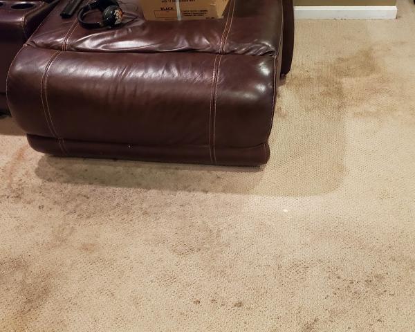Tender Loving Carpet Care