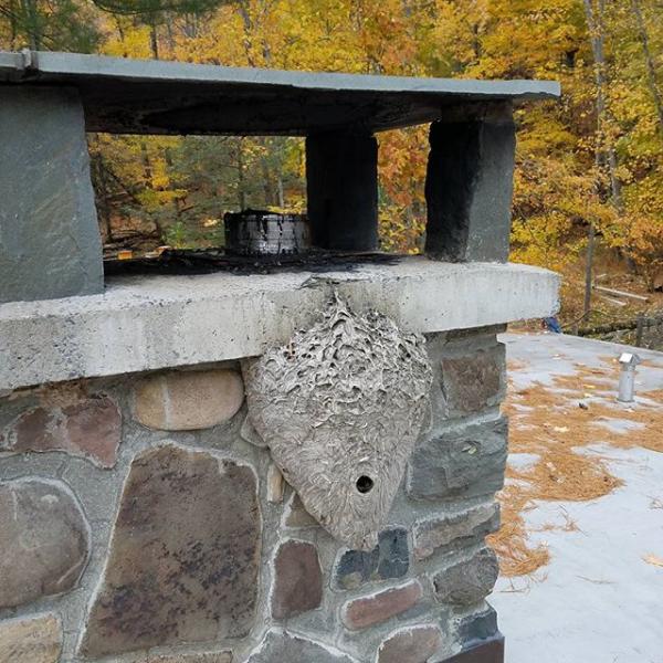 Jimminy Peak Chimney Sweep