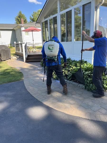 Hector Landscaping