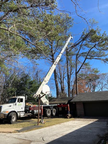 ACE Tree Service