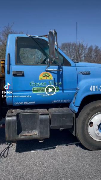 Green View Tree Service