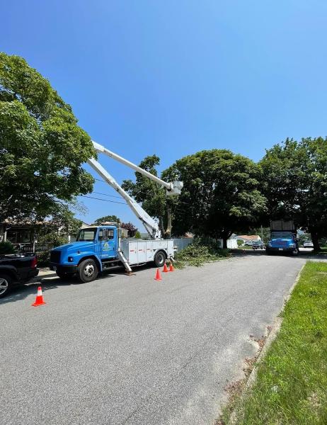 Green View Tree Service