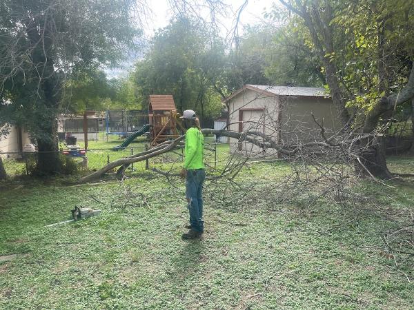 Five Brothers Lawn Care
