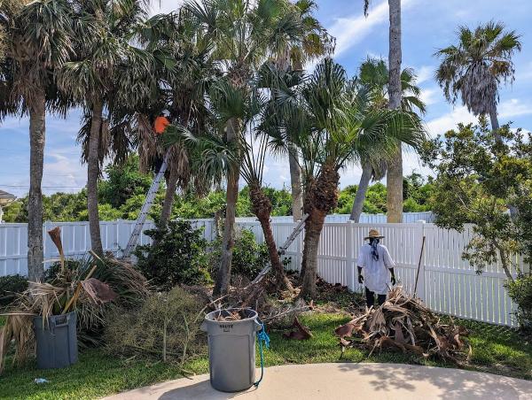 Flying Squirrel Tree and Debris Removal LLC