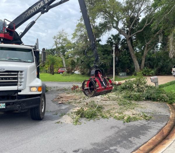 Flying Squirrel Tree and Debris Removal LLC