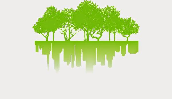 The City Arborist