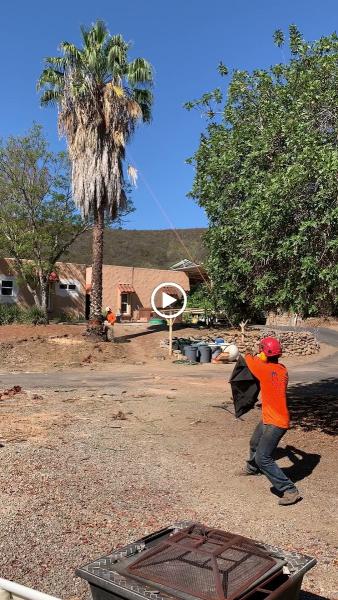 Estates Tree Service