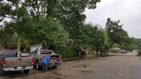 Poquoson Tree Service