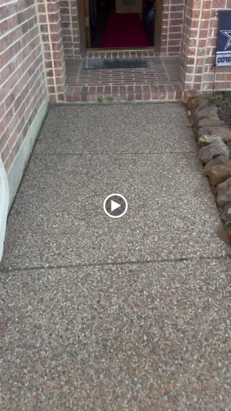 Cheetah Moving