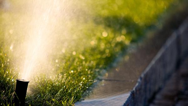 The Sprinkler Doctor Inc