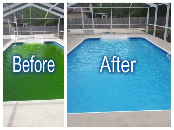 All Seasons Pool Service
