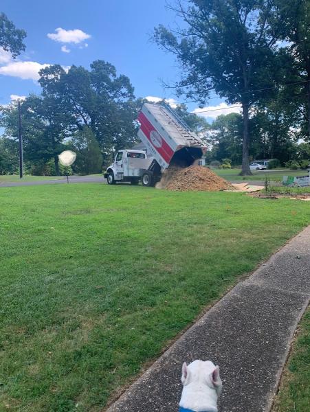 Truetimber Arborists