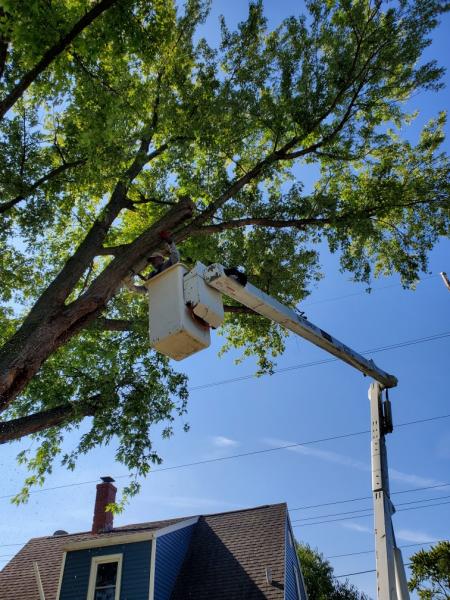 Hymbaugh's Tree Service