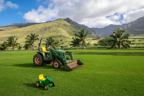Ukumehame Sod Farm