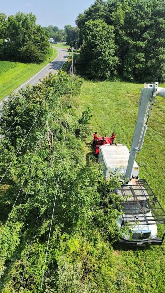 Zepeda Trees Service Llc