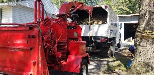Zepeda Trees Service Llc