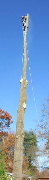Price's Excavating & Tree Service
